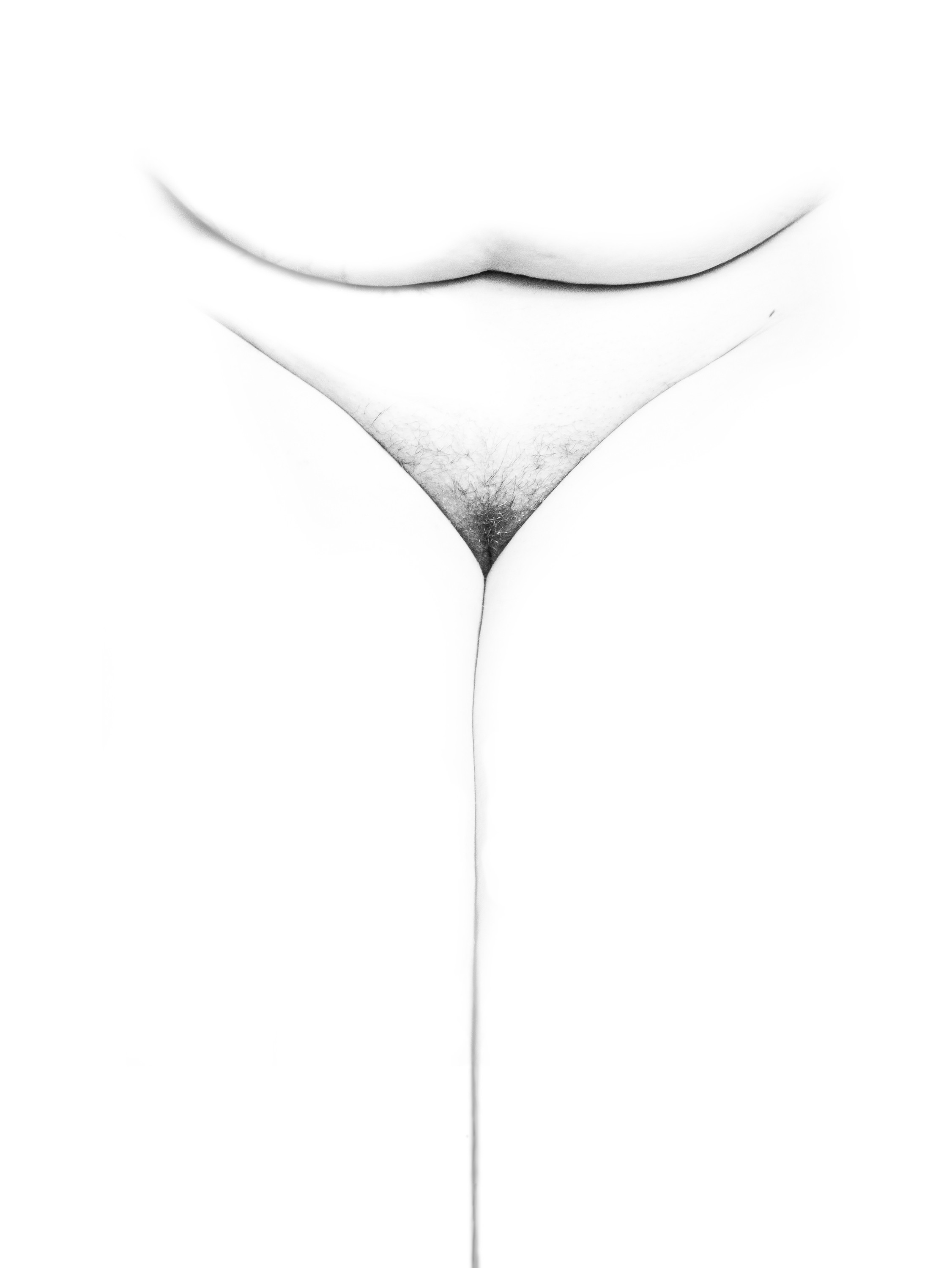 Imagen de flor: pubis con la curva de una cadera, un triángulo de vello al fondo y una línea fina que desciende, en blanco y negro sobre fondo blanco.