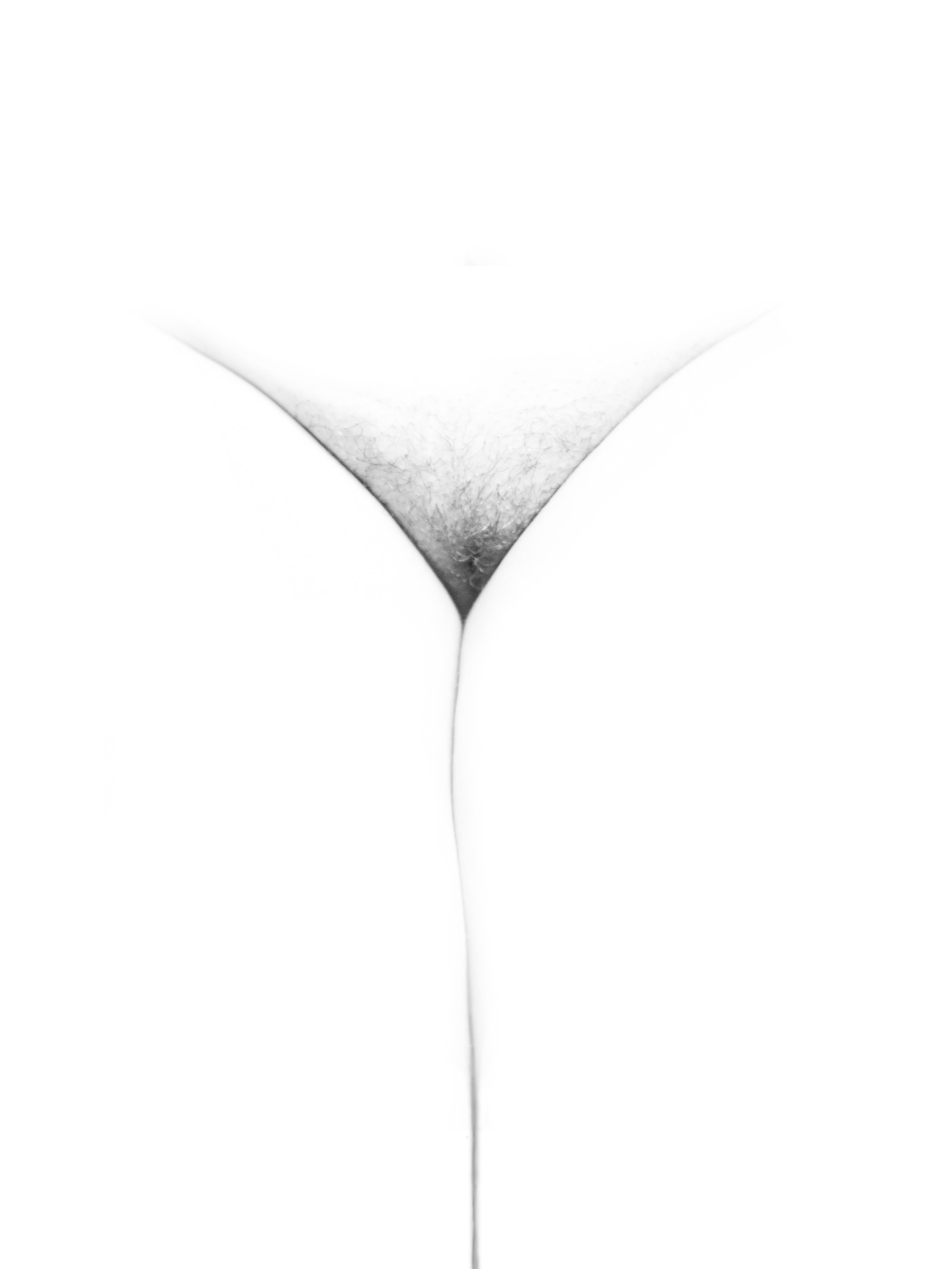 Imagen de flor: pubis con un triángulo suave de vello fino y una línea tenue hacia abajo, en blanco y negro sobre fondo blanco.