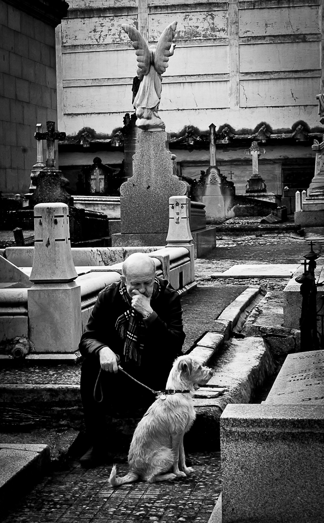 An elderly man seated among graves in a cemetery, a dog beside him and a stone angel behind.