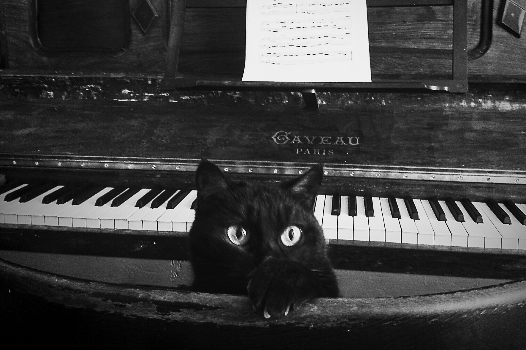 A black cat peering out from behind the keyboard of an upright piano, sheet music above.