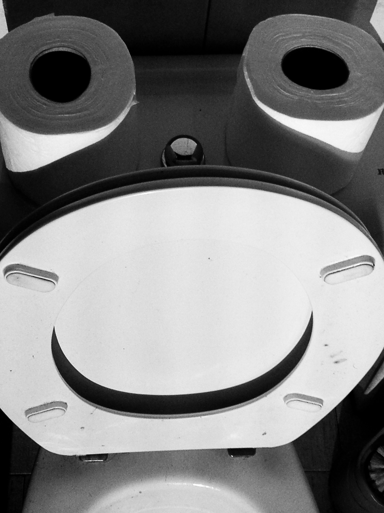 Two toilet-paper rolls above a toilet seat forming a smiling face.