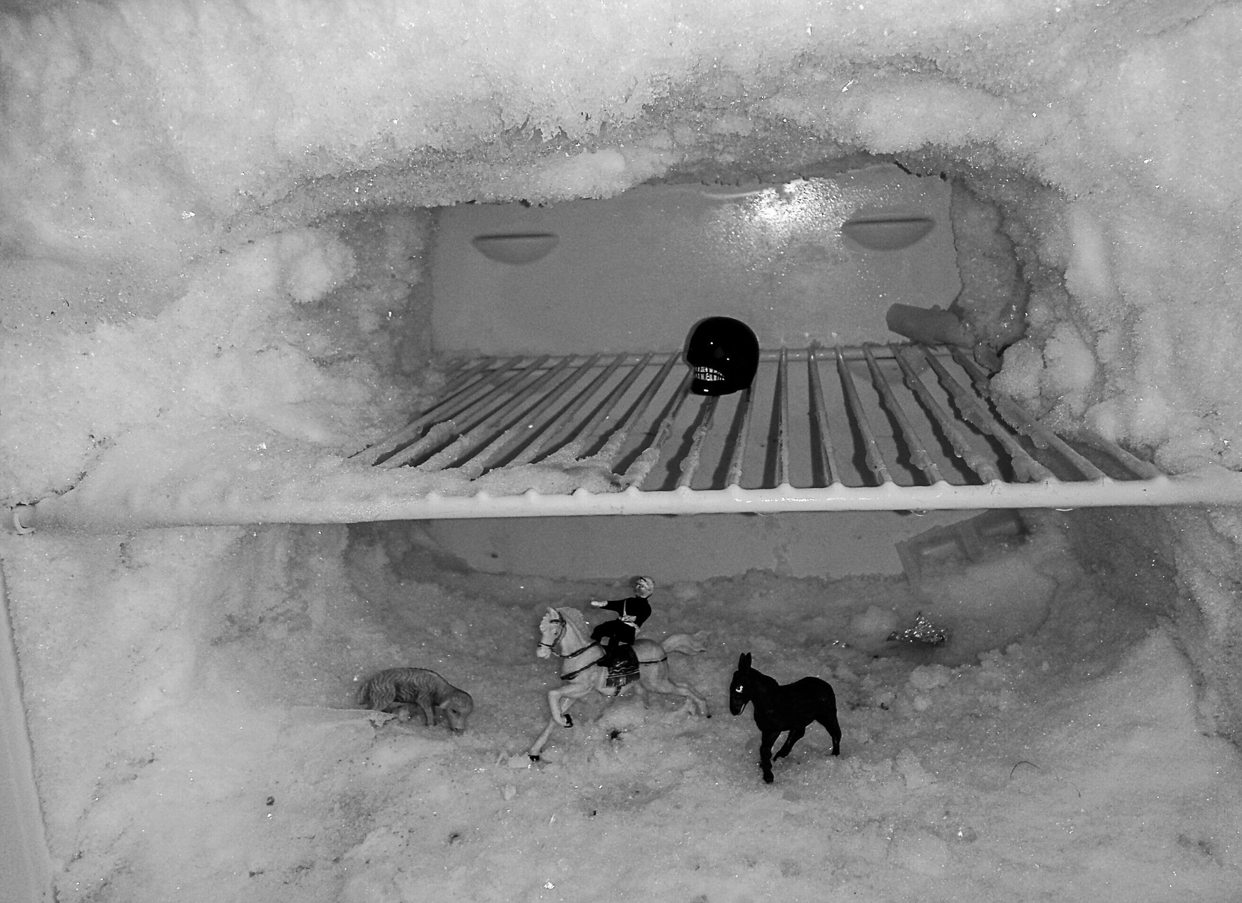 The frosted interior of a refrigerator, with a shelf and small toy animals on the ice.
