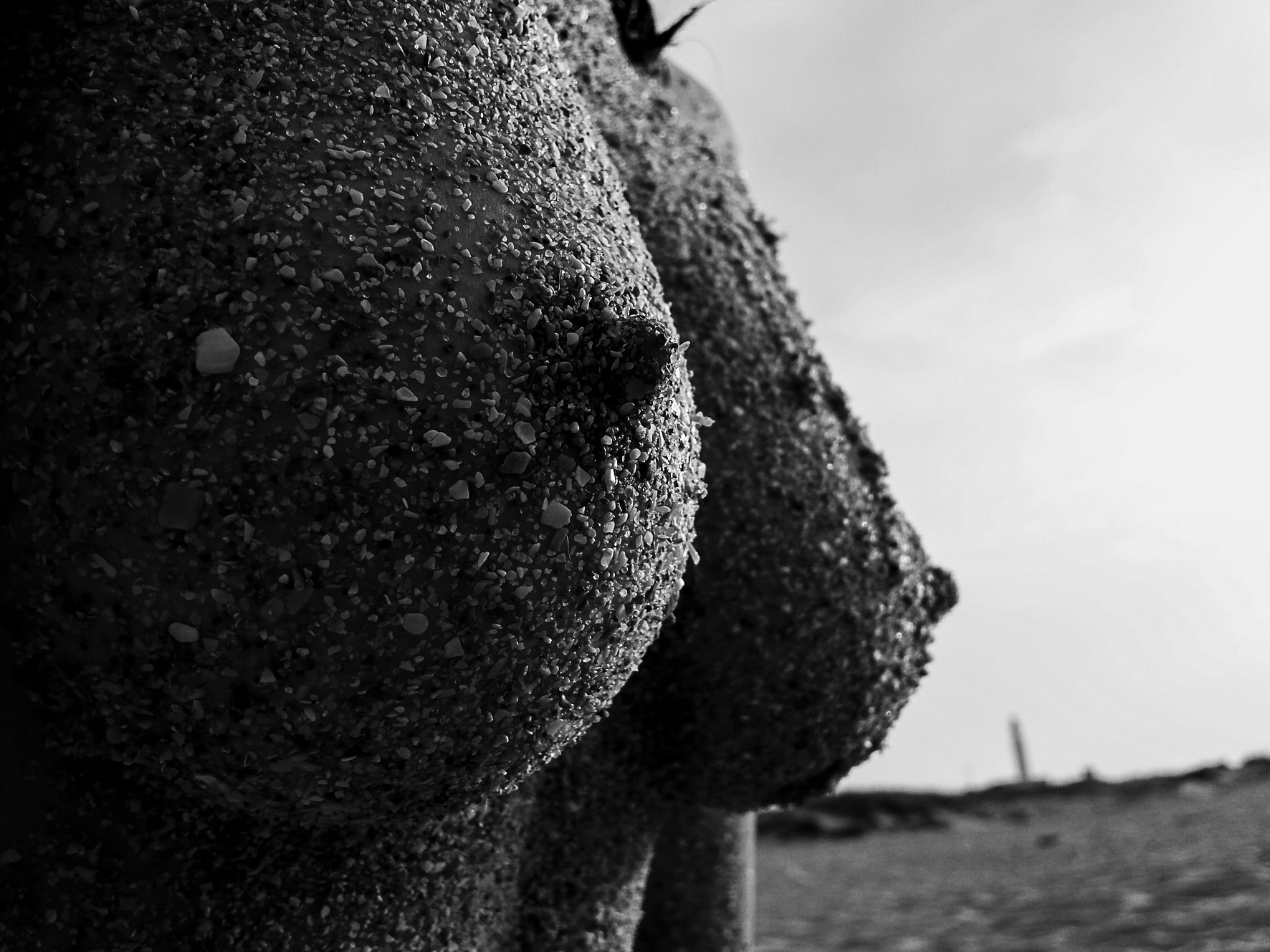 Detail of a rough, granular-surfaced sculpture, two rounded forms against a pale sky.