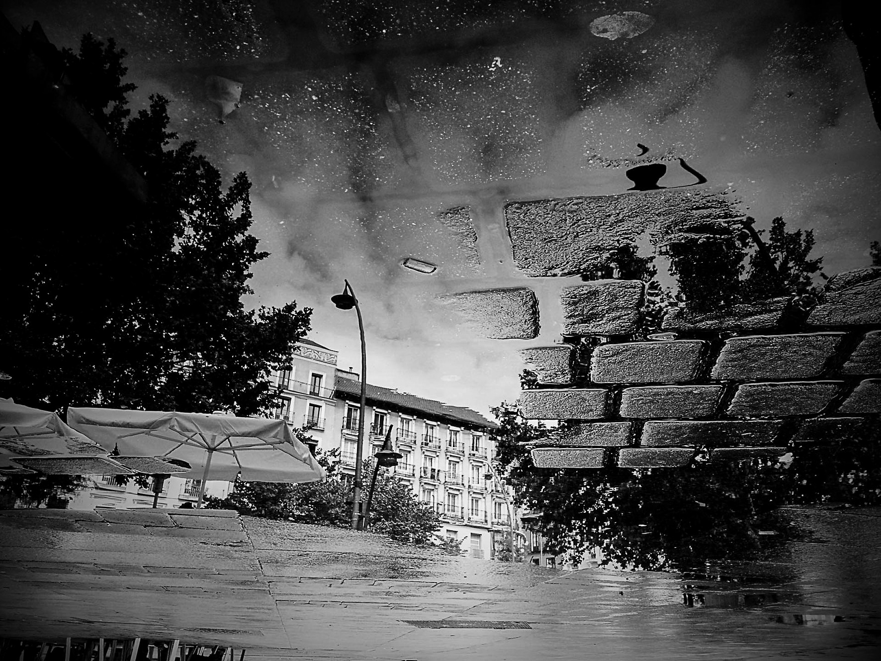 The inverted reflection of a street and trees in a puddle on cobblestones.